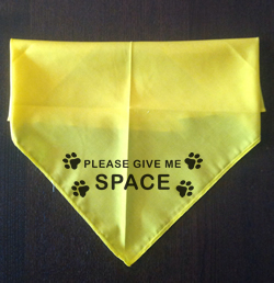 Dog Bandana SPACE